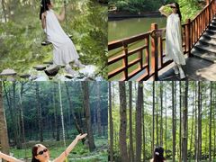 -洛阳白云山景区