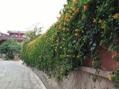 -忠惠蔡公祠