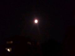 -南通博物苑-崇川人民公园