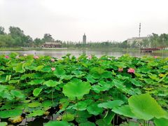 -西海子公园