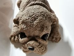 -爱上花开·蛋糕·安佳动物奶油轻奢私人定制(凯德店)