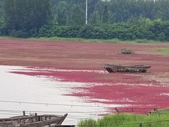 -辽宁团山国家级海洋公园