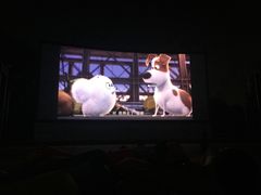 -枫花园汽车电影院(朝阳公园店)