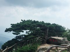 -罗田薄刀峰风景区