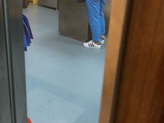 -奈斯宠物医院·核磁CT·异宠专科·内镜(中南店)