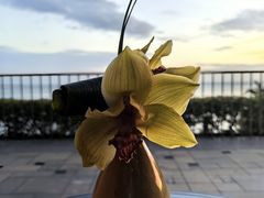 -日落吧·海景咖啡厅·餐酒吧·鸡尾酒·下午茶·乐队表演·浪漫夕阳·三亚文华东方酒店