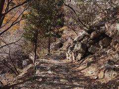 -阳台山自然风景区