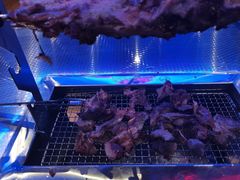 -乌兰烧烤·烤羊腿(西丽店)