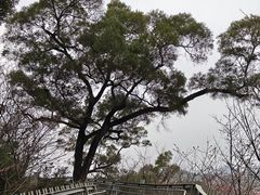-福道