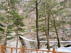 -青峰峡国家森林公园