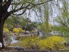 -北京西山国家森林公园