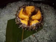 -渡鲑亭(东二环泰禾广场店)