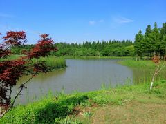 -东平国家森林公园