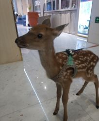 -莫奈庄园·儿童摄影馆·影视基地(江宁店)