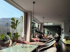 -简象咖啡CAFE ELE JANE(满陇桂雨店)
