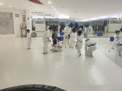 -极真空手道修远道场