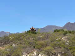 -白水寺森林公园