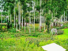 -云里小坐·小院里·团建·宴请·下午茶(三圣乡店)