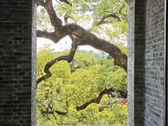 -江心屿景区