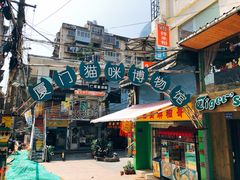 -猫咪博物馆(顶澳仔猫街店)