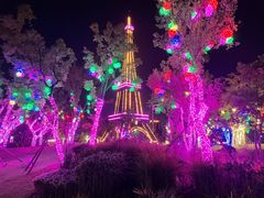 -祥源·阜阳生态乐园