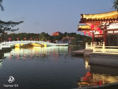 -唐御宴•御宴宫•唐代菜点(芙蓉西路店)