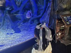 -江和美海洋公园
