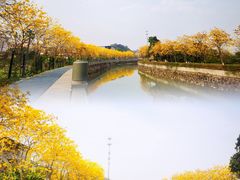 -长洲岛