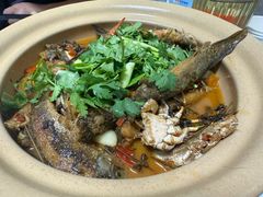 -军子大排档(迎春花园店)
