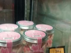 -猫咪博物馆(顶澳仔猫街店)