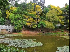 -深圳国际园林花卉博览园