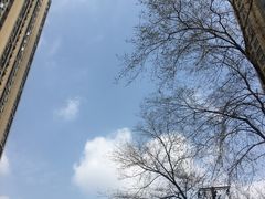 -沙河三洞古桥公园