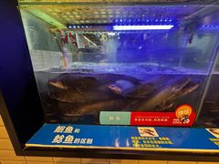 -鱼酷活鱼烤鱼(南京水游城店)