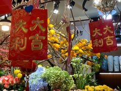 -溪岸路花鸟市场