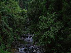 -瓦屋山景区