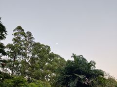 -大湾区中央湿地公园