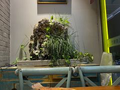 -滇越乘象云南餐厅(次渠店)