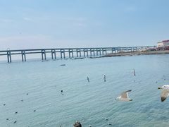 -黑石礁公园