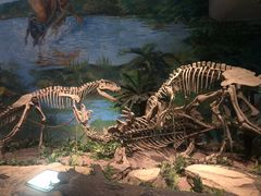 -自贡恐龙博物馆