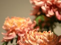 -汇龙潭