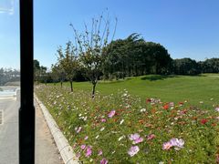 -银涛高尔夫练习场(徐泾店)