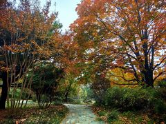 -国家植物园南园