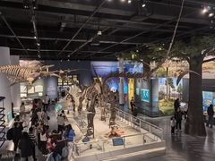 -国家自然博物馆