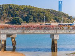 -海沧湾公园
