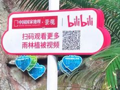 -呀诺达热带雨林