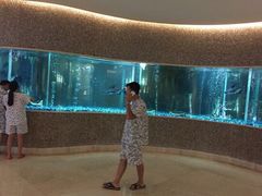 -碧涛阁水世界酒店(万家丽路店)