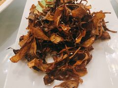 烧汁茶树菇-老洋房花园饭店(绍兴路店)