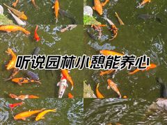 -佛山顺德香云纱园林酒店(清晖园店)