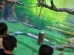 -华夏文旅海洋公园