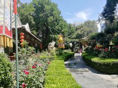 -白家大院·王府宫廷菜(苏州街店)